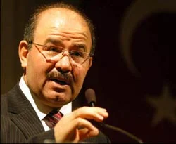 Çelik: "Eylem masum değil"
