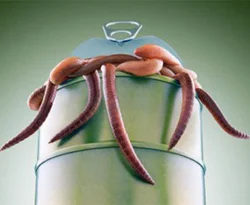 Conficker'e ne oldu?