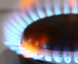 'Doğalgaz fiyatı Botaş'ın işi'