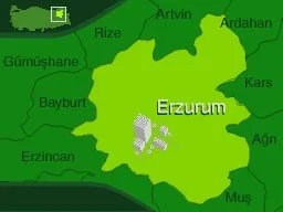 Erzurum'da buz hokeyi heyecanı