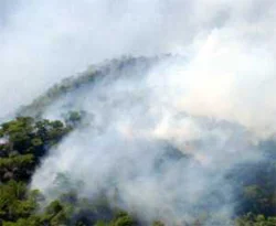Kazdağları'nın yaraları sarılıyor