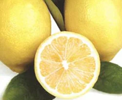 Limondan vazgeçmemeniz için 10 neden