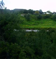 Muğla'da iki mevsim birden yaşanıyor