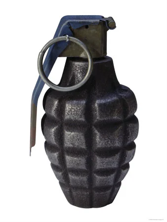 Muş'da tuzaklanmış el bombası bulundu