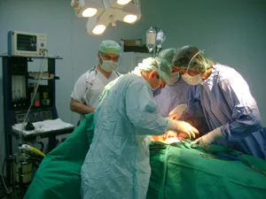 Ölümüz dirimizden daha çok para ediyor