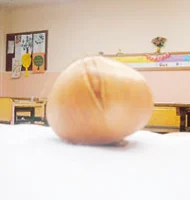 Soğanlı domuz gribi koruması