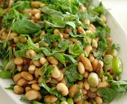 Soya kanserde etkili