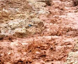 Suudi Arabistan'da sel felaketi: 48 ölü