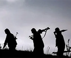 Teslim olan 7 PKK'lı serbest bırakıldı