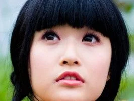 2010, Türkiye'de Japon yılı olacak