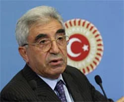 CHP'li Meral, köpeklerin saldırısına uğradı