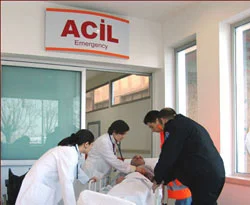 Domuz gribinde bilanço 353'e çıktı