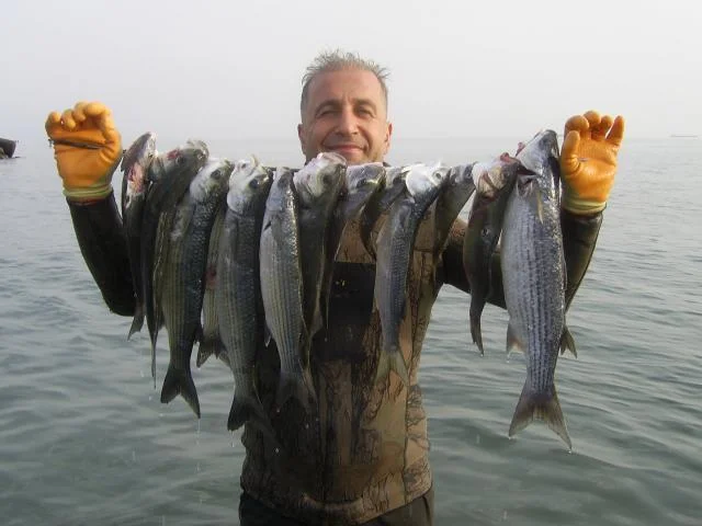 Kefal umut oldu