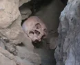 Mantar toplarken kafatası buldu