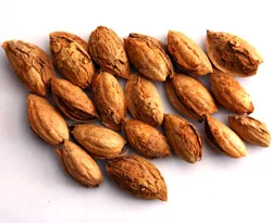Sağlıklı beslenmek için 10 mucize gıda