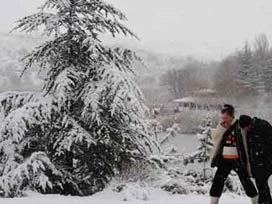 Ukrayna kara teslim