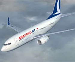 AnadoluJet uçağı, zorunlu iniş yaptı