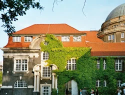 Avrupa'da dinleri modernleştirme çabası