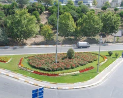 Bağcılar yemyeşil oluyor