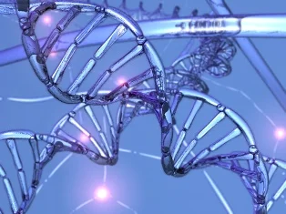 DNA yöntemi kullanılacak