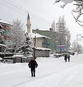 Erzurum yine dondu