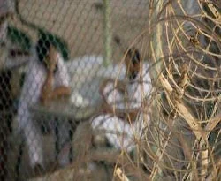 Guantanamo'dan Yemen'e transfer askıda