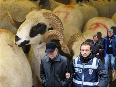 Kurban yolsuzluğunda flaş gelişme