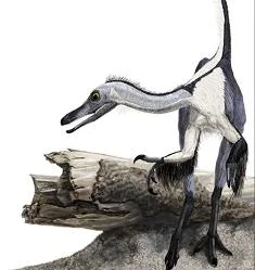 Kuşa benzeyen ama kuş olmayan dinozor