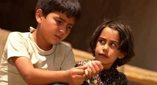 Türk sinemasının 2009'u