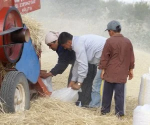 Türkiye, tarımda ihracatçı konumunda