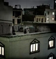 Dünya Basın Fotoğrafı Ödülü İran'dan