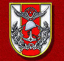 Genelkurmay'dan 22 gözaltı