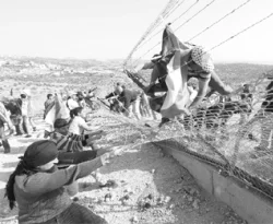 Irkçı duvara karşı beşinci yıl