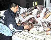 1 ton at eti yemekten kurtulduk