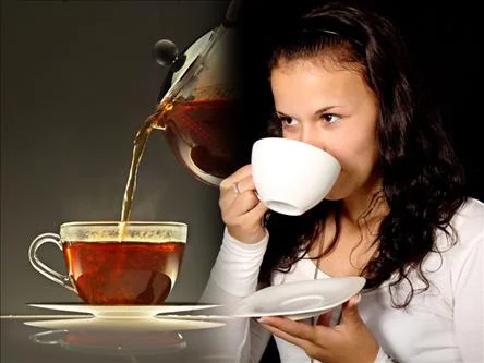 Çaykur Organik Çay Üretti
