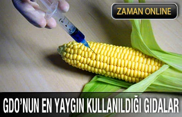 GDO'lu bitki ve hayvanların üretimi yasaklandı