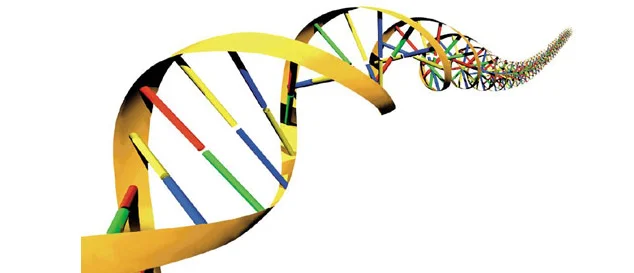İdamdan kurtaran DNA testi