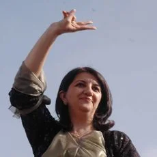 'Öcalan serbet bırakılsın'