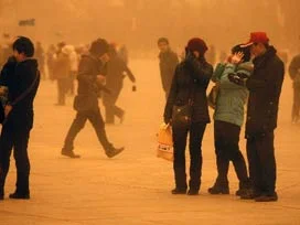 Pekin sokaklarını sarıya boyadı