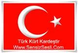 Seçimlerde Kürtçe konuşmak serbest!