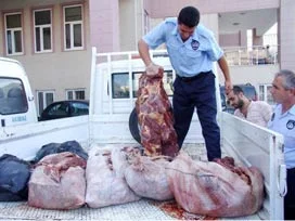 Adana'da kaçak at eti yakalandı