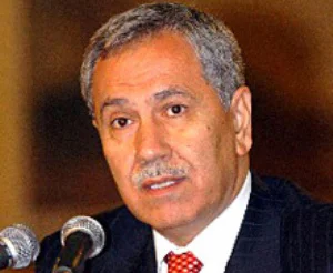 Arınç: 'referandumda ne sorulacak?'