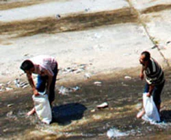 Çuvallarla balık topladılar
