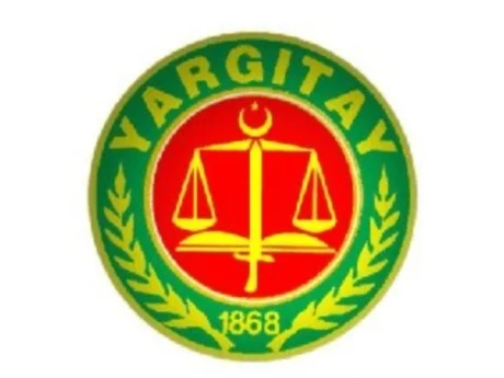 "Eleştiriler 1982 Anayasası'ndan az olmayacak"
