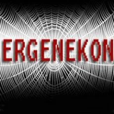 Erzurum'daki dosyanın örneğini istendi