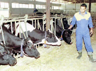 'Et fiyatları düşürülsün'