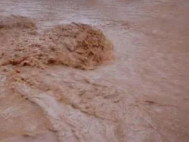 Gölete düşen çocuk hayatını kaybetti.