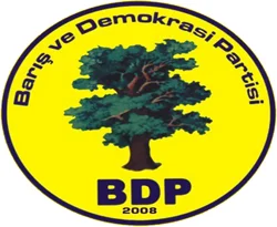 "İlerleme için BDP destek vermeli"