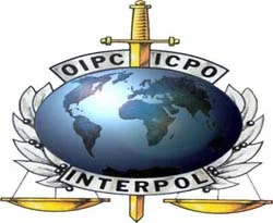 İnterpol'den PKK'ya şok operasyon