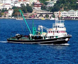 Karadenizli balıkçılar kota istiyor